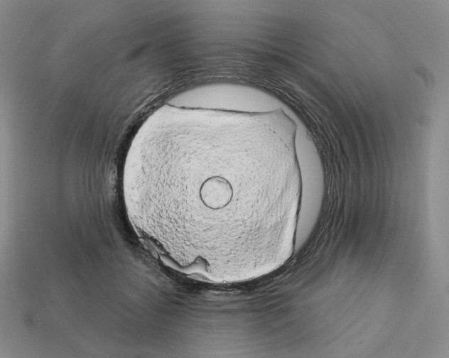 X0000112890556200910021416