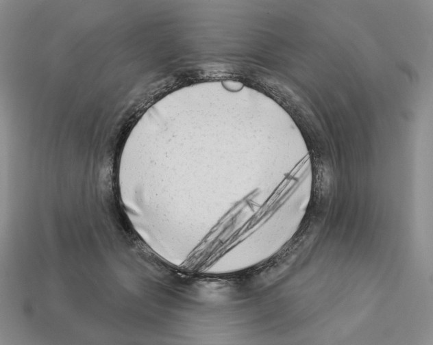 X0000112890557200910021416