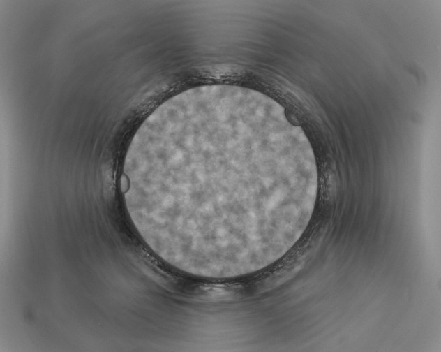 X0000112890558200910021416