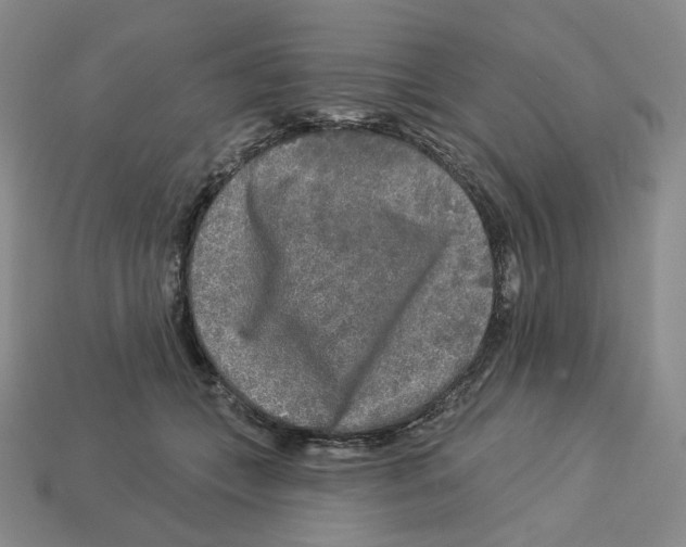 X0000112890559200910021416