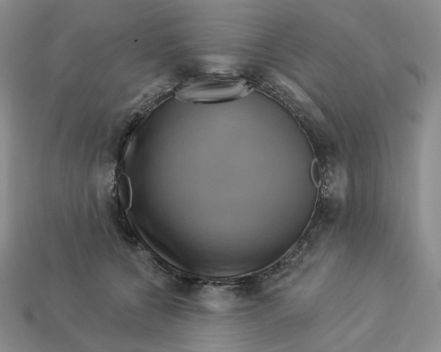 X0000112890560200910021417