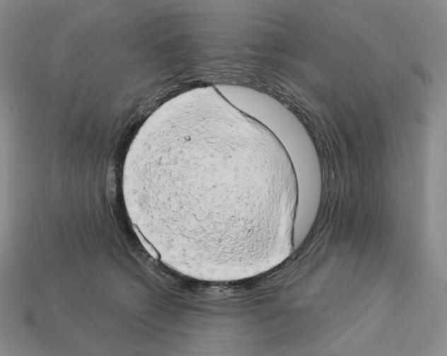 X0000112890562200910021417