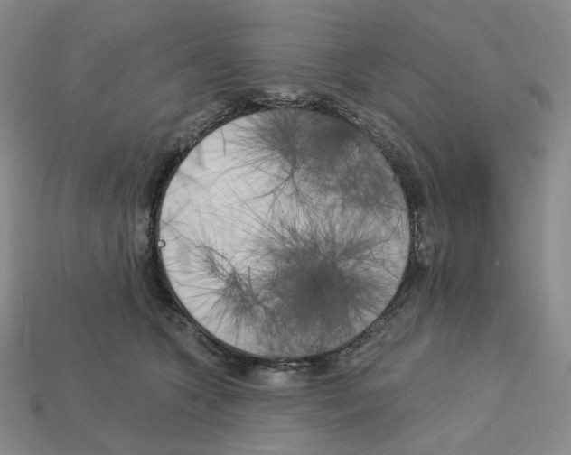 X0000112890563200910021417