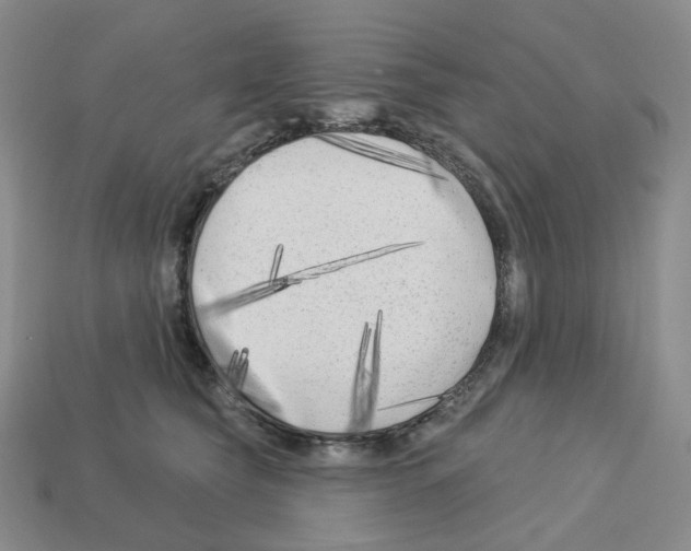 X0000112890565200910021417