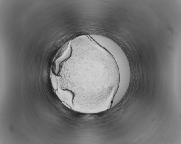 X0000112890566200910021417