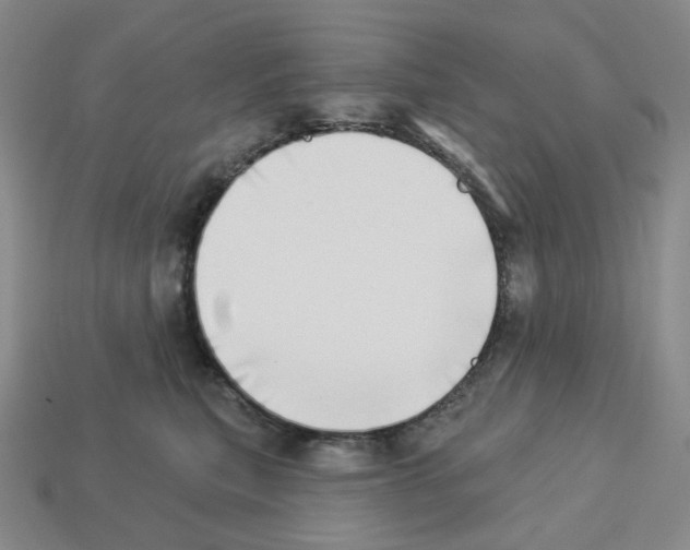 X0000112890567200910021417