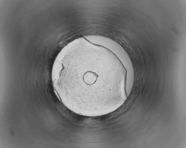 X0000112890568200910021417