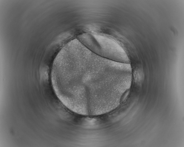 X0000112890570200910021417