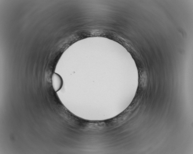 X0000112890571200910021417