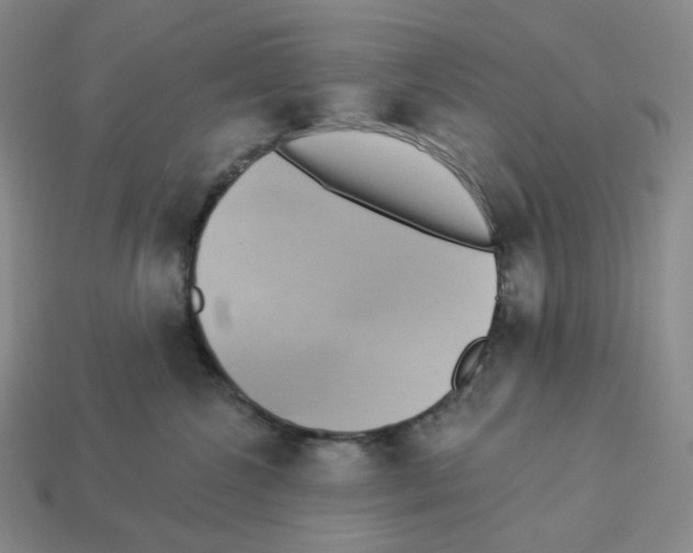 X0000112890572200910021417