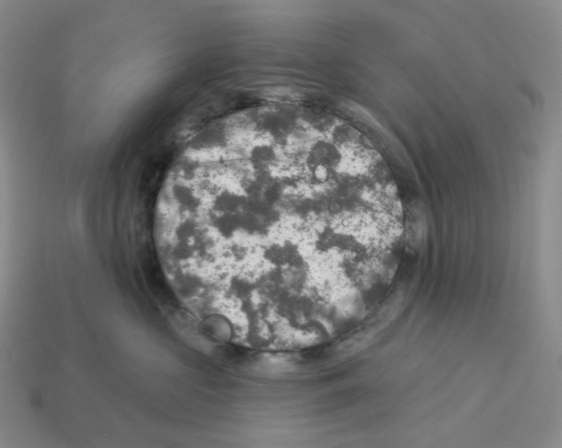 X0000112890573200910021417