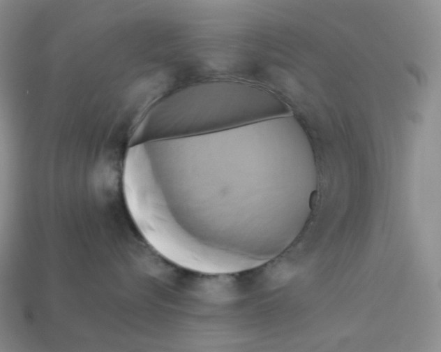 X0000112890576200910021417