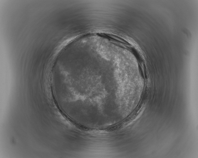 X0000112890577200910021416