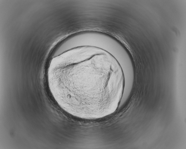 X0000112890579200910021416