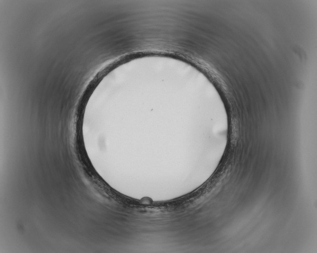 X0000112890580200910021416