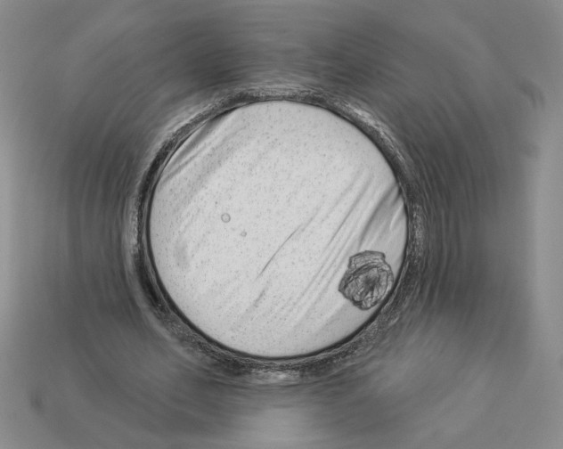 X0000112890582200910021416