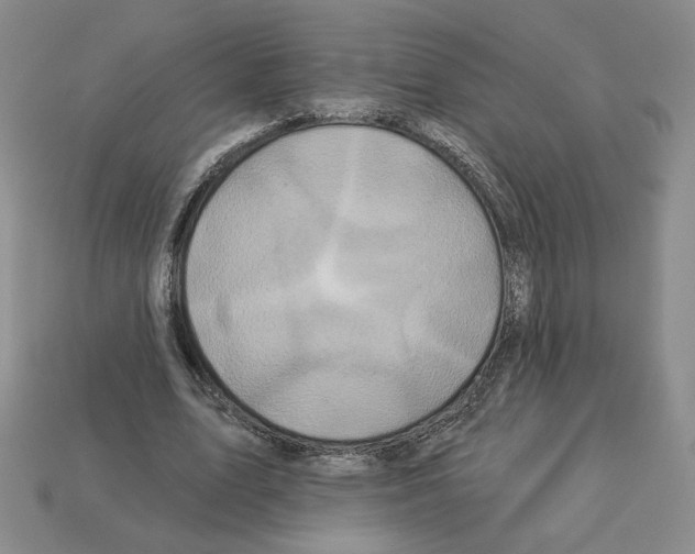 X0000112890583200910021416