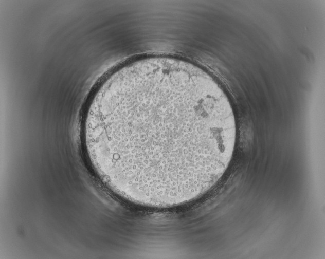 X0000112890584200910021416