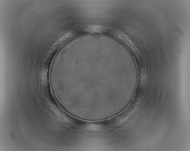 X0000112890585200910021416