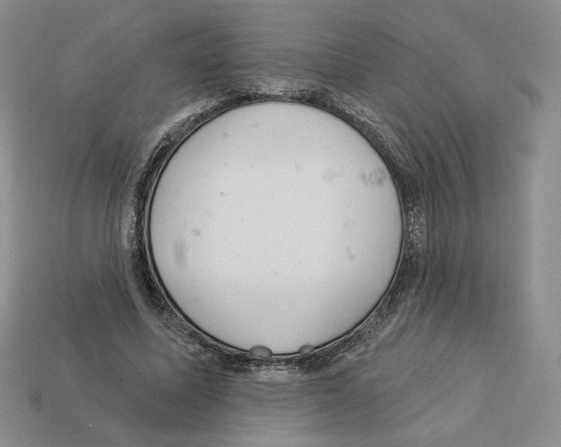 X0000112890587200910021416