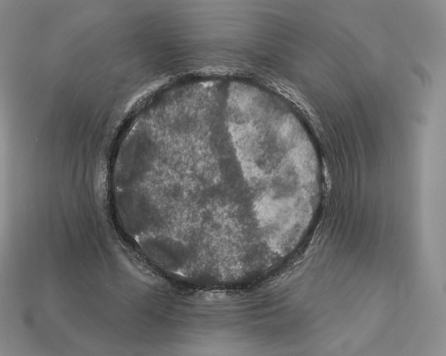 X0000112890588200910021416