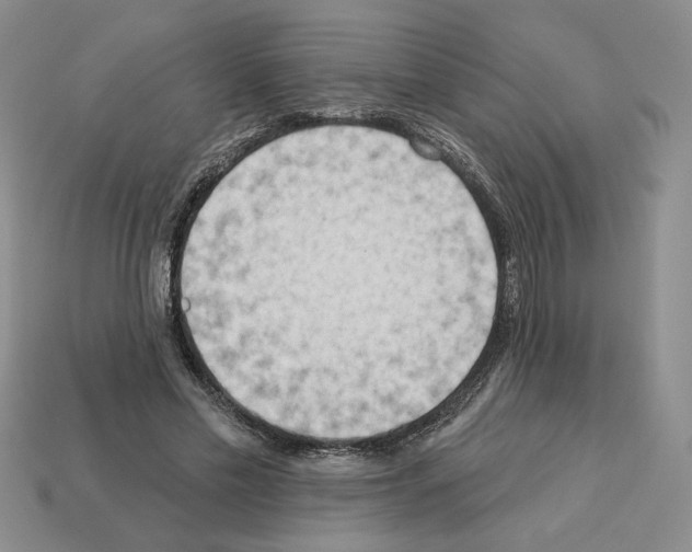 X0000112890589200910021416