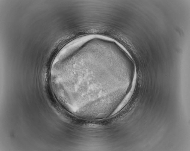X0000112890590200910021416