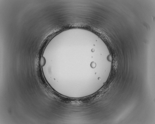 X0000112890591200910021416
