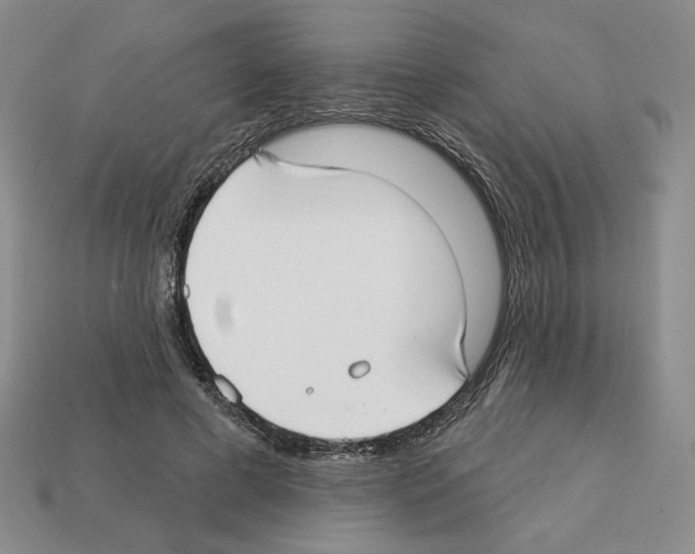 X0000112890593200910021416