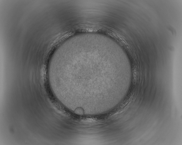 X0000112890594200910021416