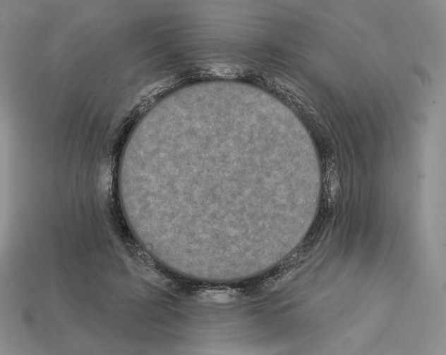 X0000112890595200910021416