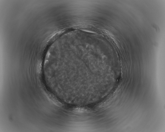 X0000112890596200910021416
