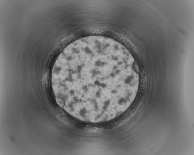 X0000112890597200910021416