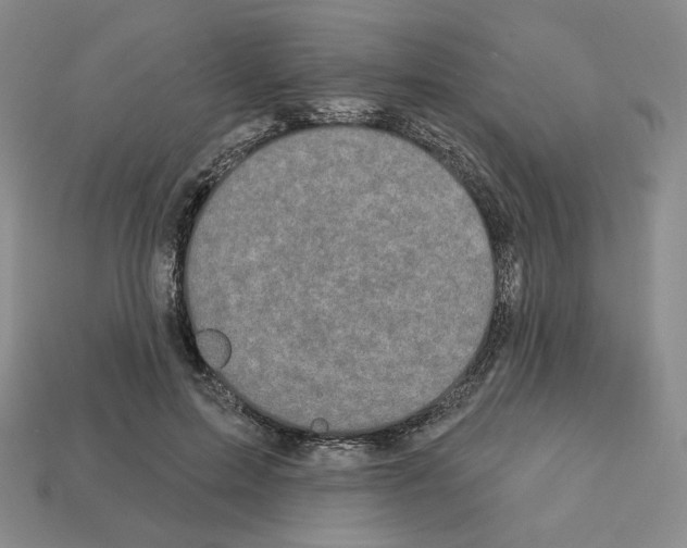 X0000112890599200910021416