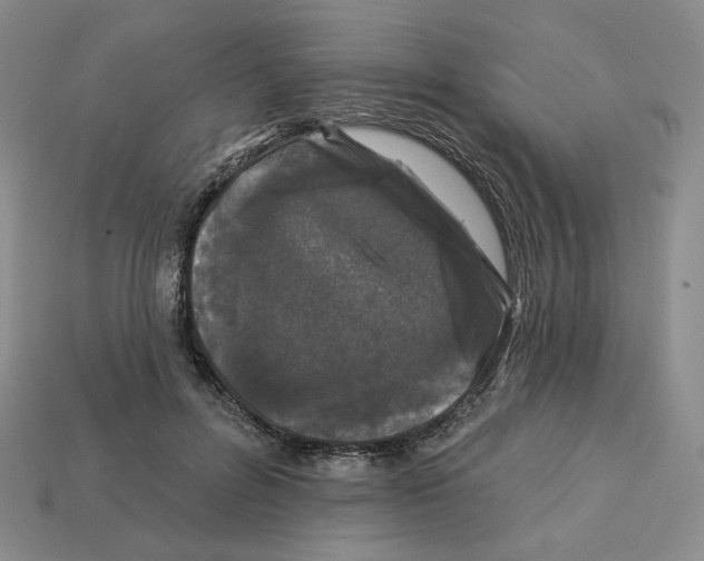 X0000112890600200910021416