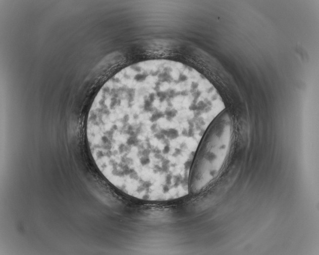 X0000112890601200910021416