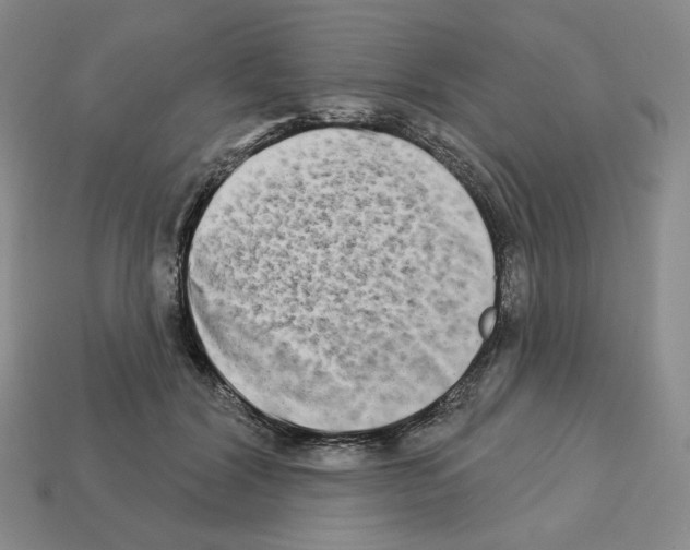 X0000112890604200910021416