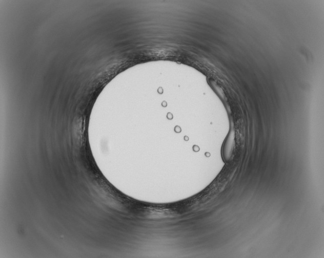 X0000112890605200910021416