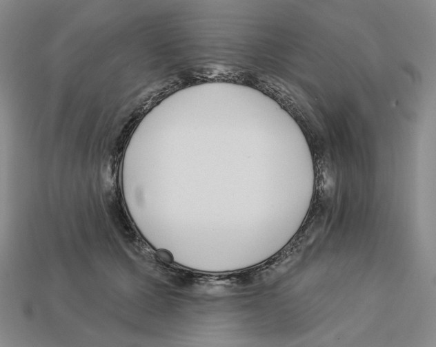 X0000112890607200910021416