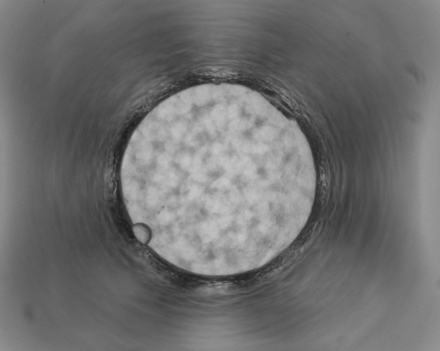 X0000112890609200910021416