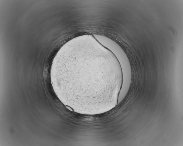 X0000112890611200910021416