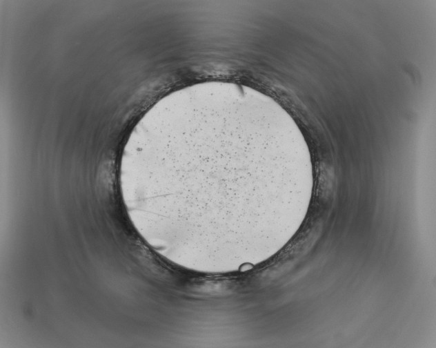 X0000112890612200910021416