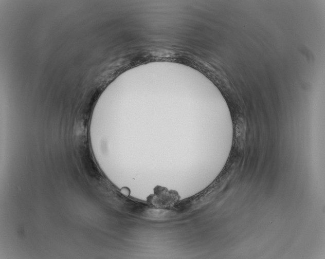 X0000112890614200910021416