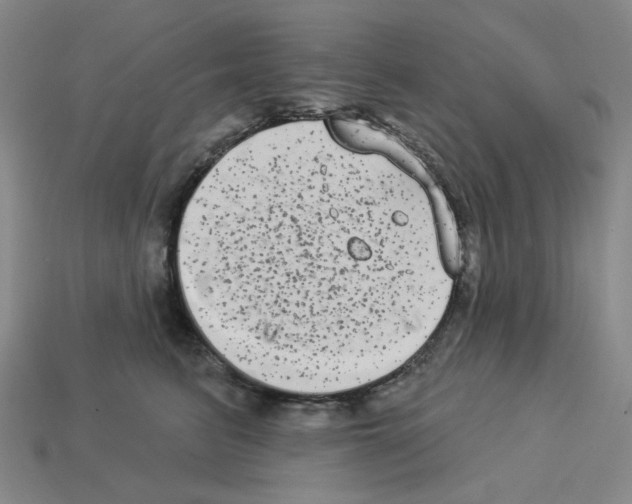 X0000112890615200910021416