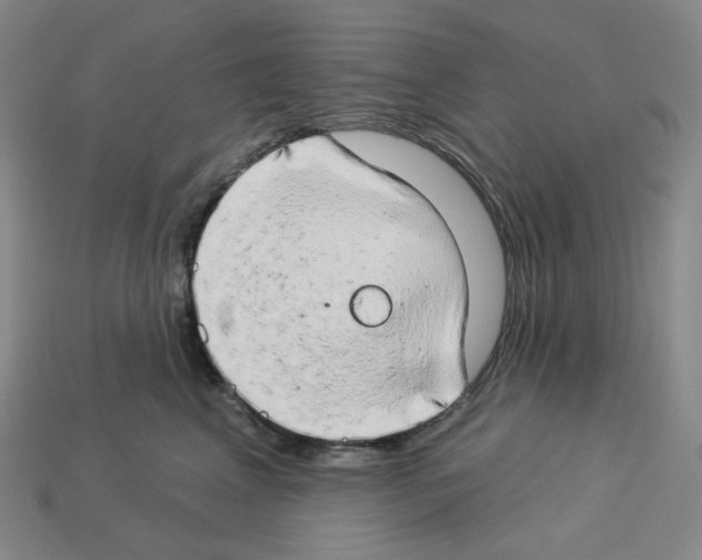 X0000112890617200910021416