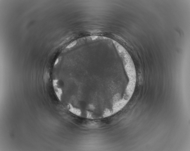 X0000112890618200910021416