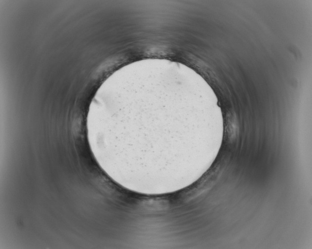 X0000112890619200910021416