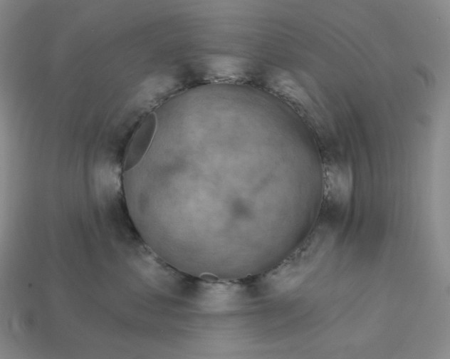 X0000112890621200910021416