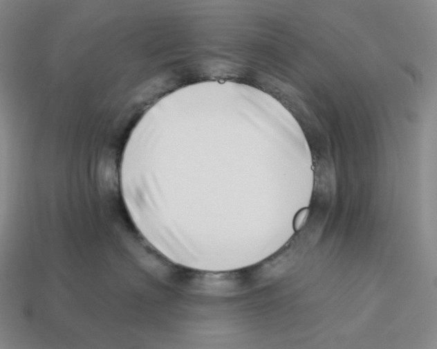 X0000112890622200910021416