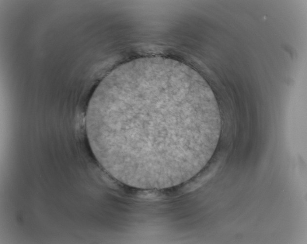 X0000112890624200910021415